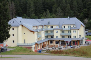Hotels in Feldberg